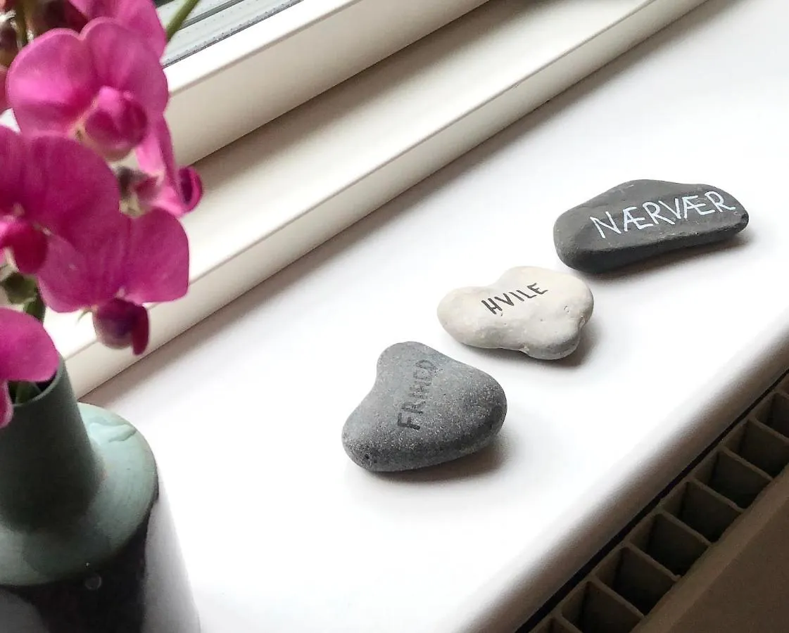 Shruti'S Home Billund Appartamento
